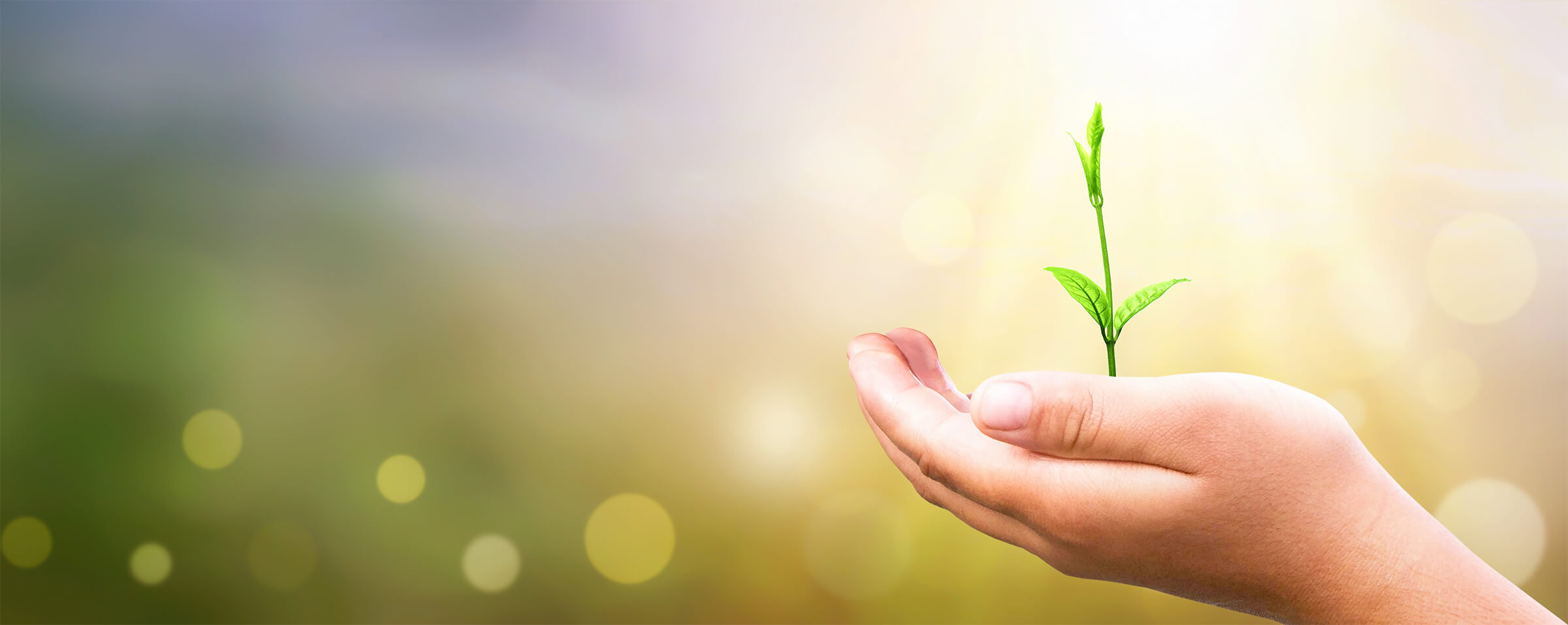 プラスチック資源循環 イメージ